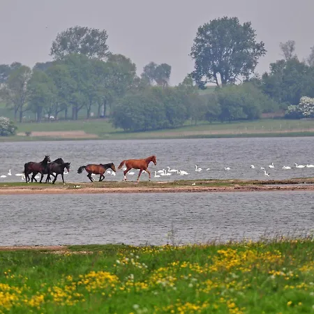 Gollwitzer Park - Insel Poel-2 By Interhome