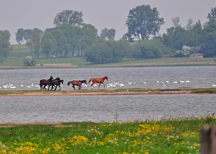 Gollwitzer Park - Insel Poel-2 By Interhome